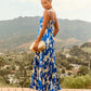Soraya Floral Printed And Pleated Maxi Dress mysite